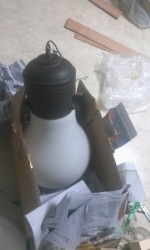 17168153613931.jpg