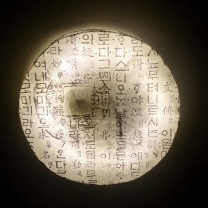 17168156893029.jpg