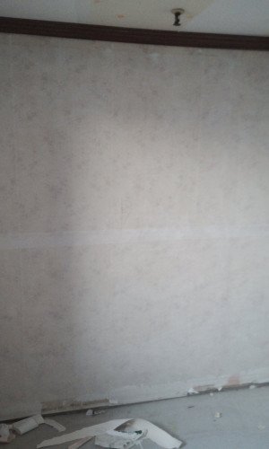 17168608237294.jpg