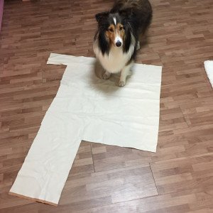 17168628295333.jpg