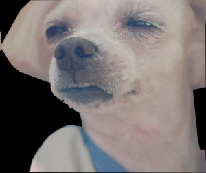 17168630678741.png